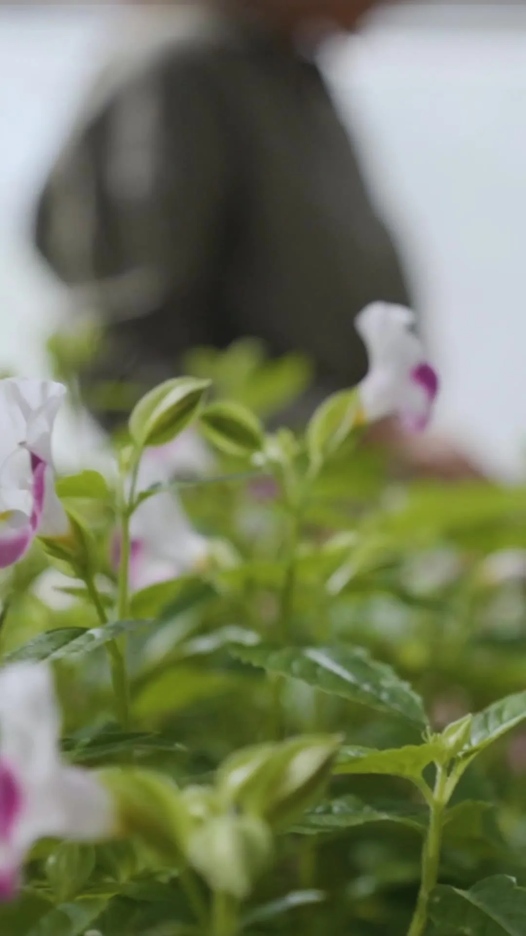 Sustainability at Reserva Conchal
